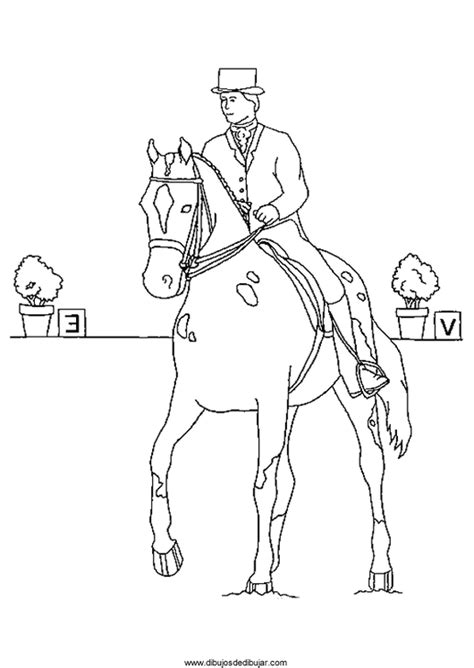 horses  coloring pages  print