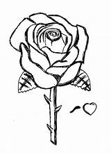 Roses Tatuaggi Fiori Copiare Coloring4free Bestcoloringpagesforkids Tipi Disegnare Frasi Luther Farfalle Nomi Angeli Lettere Citazioni sketch template