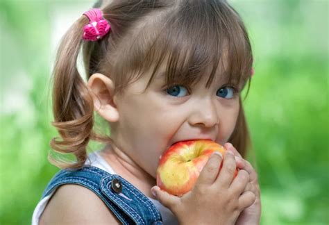apple  children health benefits facts recipes