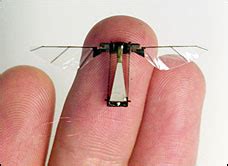 insect drones spotted   streets updated wired