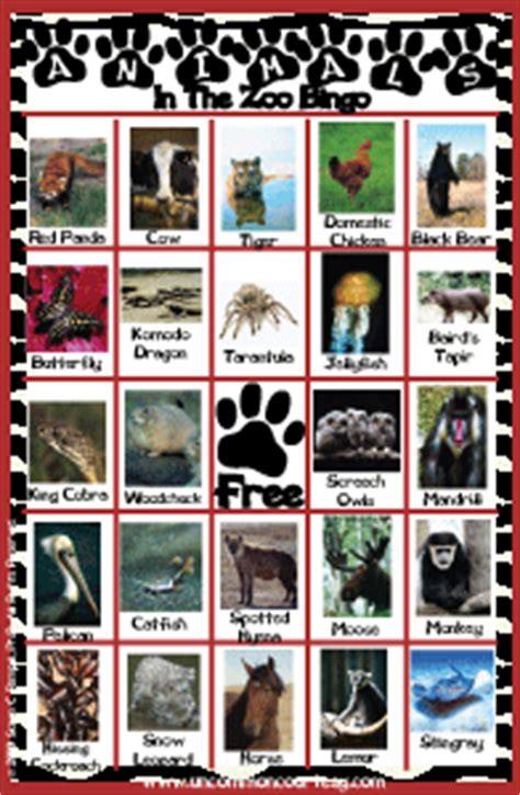 animals   zoo bingo uncommon courtesy
