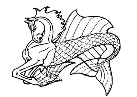 coloring page sea horse horse coloring pages mermaid coloring pages