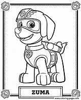 Zuma Coloring Patrol Paw Pages Printable Color Book sketch template