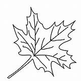 Coloring Pages Leaves Leaf Malvorlagen Ausmalbilder Autumn Maple Color Drawings Line Window Blätter Kinder Printable Herbstblätter Clipart Trees Fall Blatt sketch template