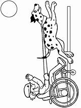 Coloring Handicap Disabili Menschen Handicapes Behinderte Colorare Persone Gifgratis Coloringpagebook Wheelchair Prend Malvorlage Kategorien sketch template