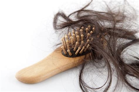 tips mencegah  mengatasi rambut rontok