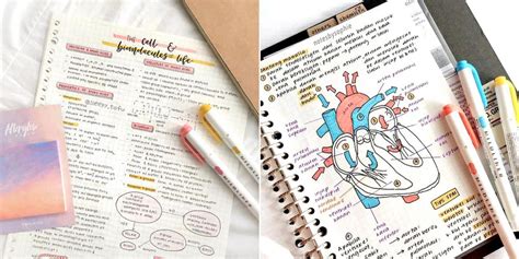 studygram inspires sporean students   notes  colours cursives cute stickers