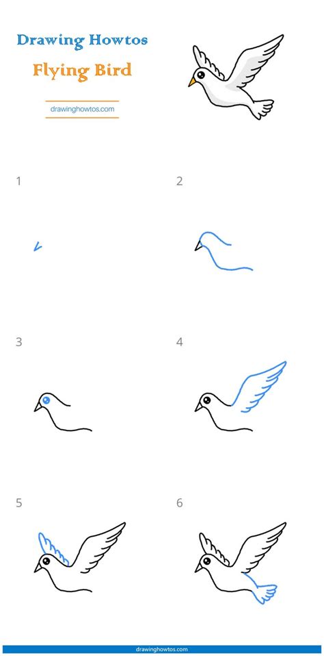 draw  flying bird step  step easy drawing guides drawing