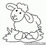 Kozy Owce Kolorowanki Lamb Słodka sketch template
