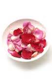 rose petal spa royalty  stock  image
