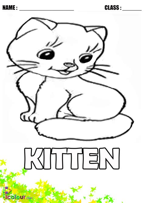 cute  kitten colouring pages  kids picolour