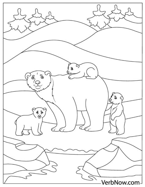 bear coloring pages   printable  verbnow
