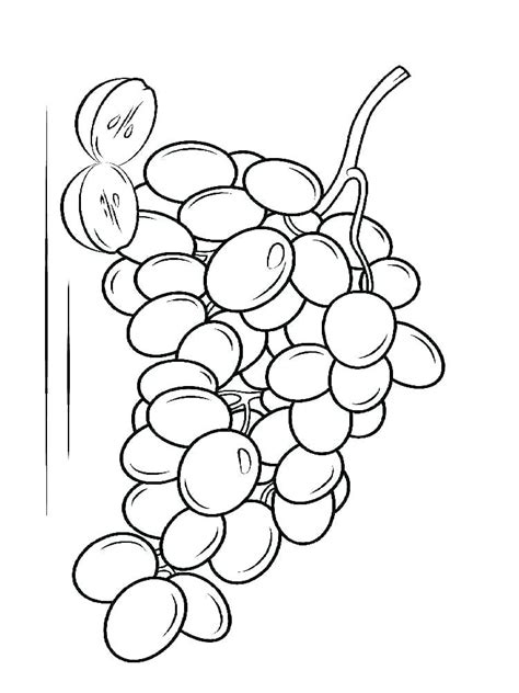 coloring pages grape coloring page leaves pages