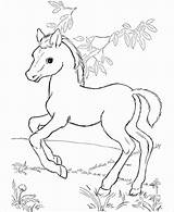 Horse Coloring Cute Coloringbay Animals sketch template