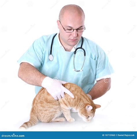 animal doctor royalty  stock  image