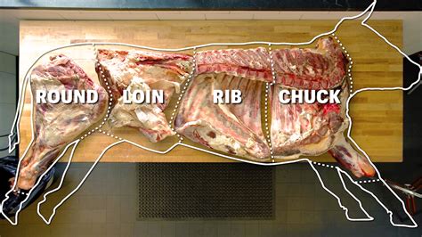 butcher  entire   cut  meat explained