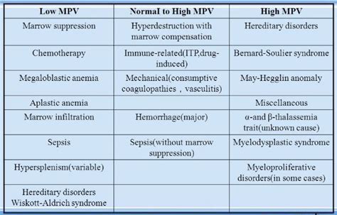 mpv blood test   high  normal