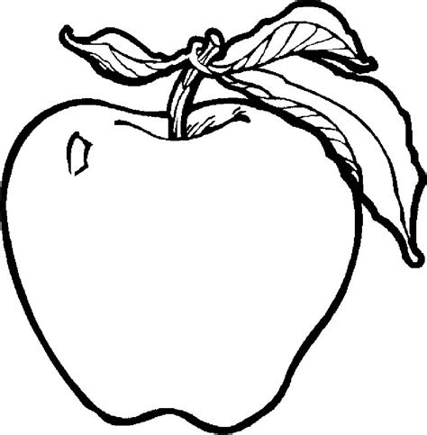 fruit apple coloring pages  kids  printable fruits coloring