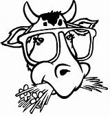 Vaca Stieren Colorat Taureau Desene Ausmalbilder Coloriages Stiere Malvorlagen Planse Taureaux Colorier Cows Animale Animaatjes Malvorlage Ko Malvorlagen1001 Vacute Coloring sketch template