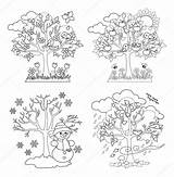 Stagioni Pory Quattro Drzewo Alberi Arbre Jahreszeiten Cino Colorear Baum Istockphoto Clipground Zdroj Pinu Malowankę Wydrukuj Arbres sketch template