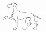 Dog Coloring Pages Large Edupics sketch template