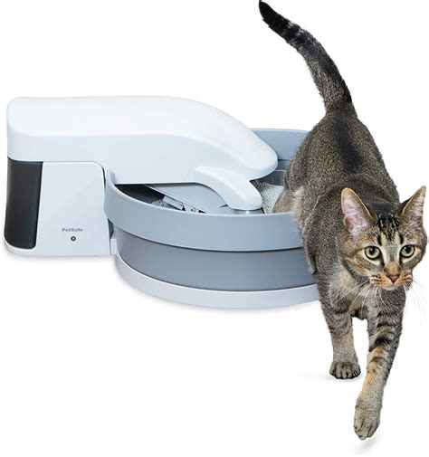 cleaning litter boxes   lupongovph