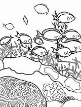Reef Fish Coral Coloring Pages School Barrier Drawing Great Color Getcolorings Sea Kids Drawings Printable Paintingvalley sketch template