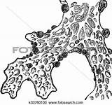 Clipart Lichen Lichens Designlooter Lung Engraving Fotosearch Vintage Clipground 422px 84kb sketch template
