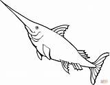 Swordfish Spada Pesce Tiburones Colorear Disegno Pescespada Marpara Bel sketch template