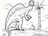 Ouranosaurus Plateosaurus Dinosaurios Malvorlagen Dinossauros Parasaurolophus Dinozaury Kolorowanka Dinosaurs Dinosaurier Dimetrodon Baryonyx Dinosauri Kolorowanki Pterodattilo Pteranodon Dinosaures Ultrasaurus Polowanie Tyrannosaurus sketch template