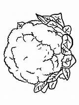 Cauliflower Coloring Pages Lettuce Drawing Vegetables Color Kids Printable Getcolorings Getdrawings Pag Recommended sketch template