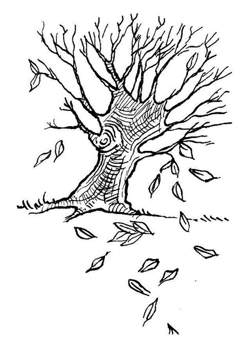 coloring page autumn tree  printable coloring pages img