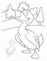 Duck Coloring Farm Pages House Bestcoloringpages Kids Animal Library Animals Insertion Codes sketch template