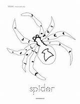 Trace Spiders Color sketch template