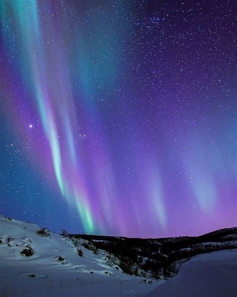 83 best images about aurora borealis on pinterest canada lakes and see the northern lights