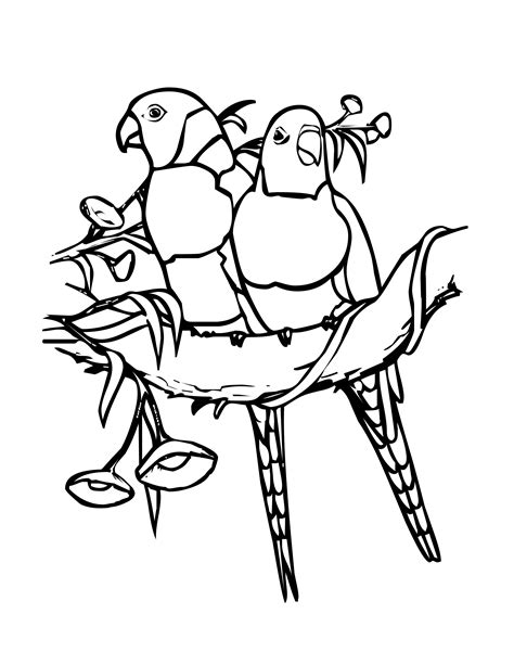 birds  trees coloring pages coloring pages