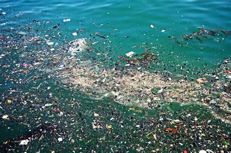 The Pacific Garbage Patch A Monumental Tribute To Our