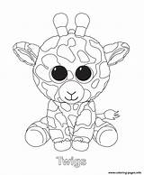 Coloring Beanie Boo Pages Twigs Printable sketch template