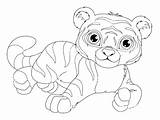 Coloring Tigers Kids Pages Color Simple Children Printable sketch template