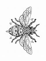 Fly Zentangle sketch template