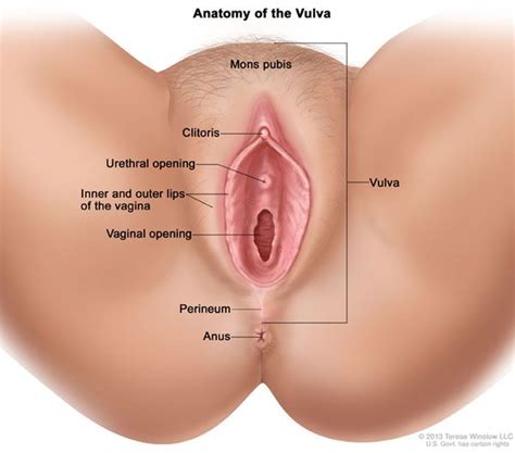 aroused vagina tumblr