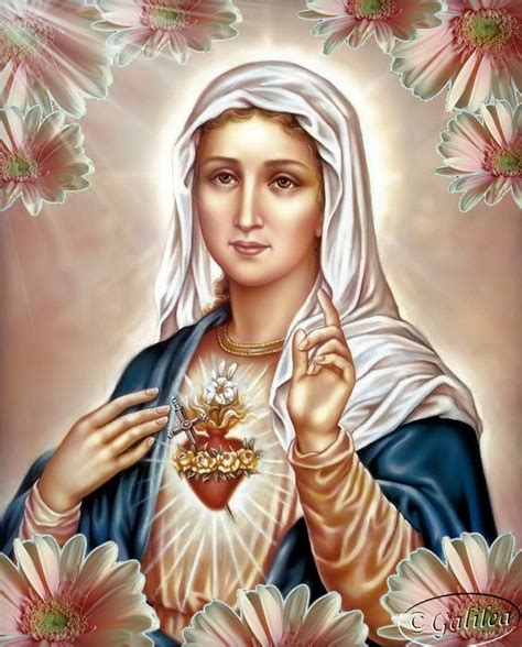 Santa María Madre De Dios Y Madre Nuestra Imágenes
