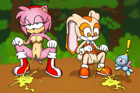 image 119838 amy rose cheese the chao cream the rabbit sonic team