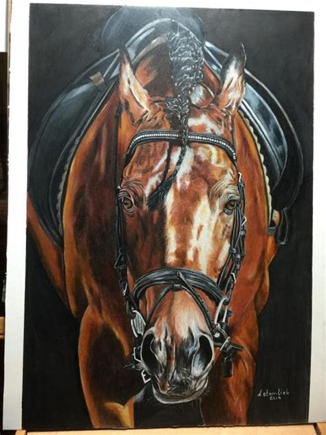 horse drawing colored pencil bestpencildrawing