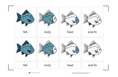montessori materials parts   fish nomenclature cards   printed