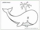 Whale Coloring Pages Printable Colouring Whales Kids Jeffy Jonah Template Animal Templates Color Crafts Sea Sperm Activities Drawing Printables Craft sketch template