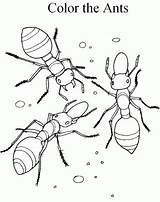 Coloring Pages Marching Ants Print sketch template