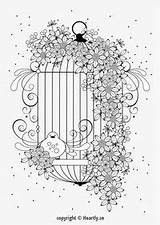 Coloring Cage Bird Pages Save Adults sketch template
