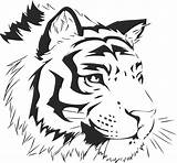Tiger Vector Bengal Stencil Head Drawing Tigger Face Stencils Tattoo Tigre Drawings 123freevectors Silhouette Outline Deviantart Logo Sticker User 3axis sketch template