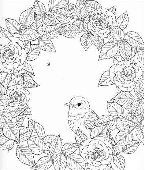 harmony  nature adult coloring book pg  coloring books blank